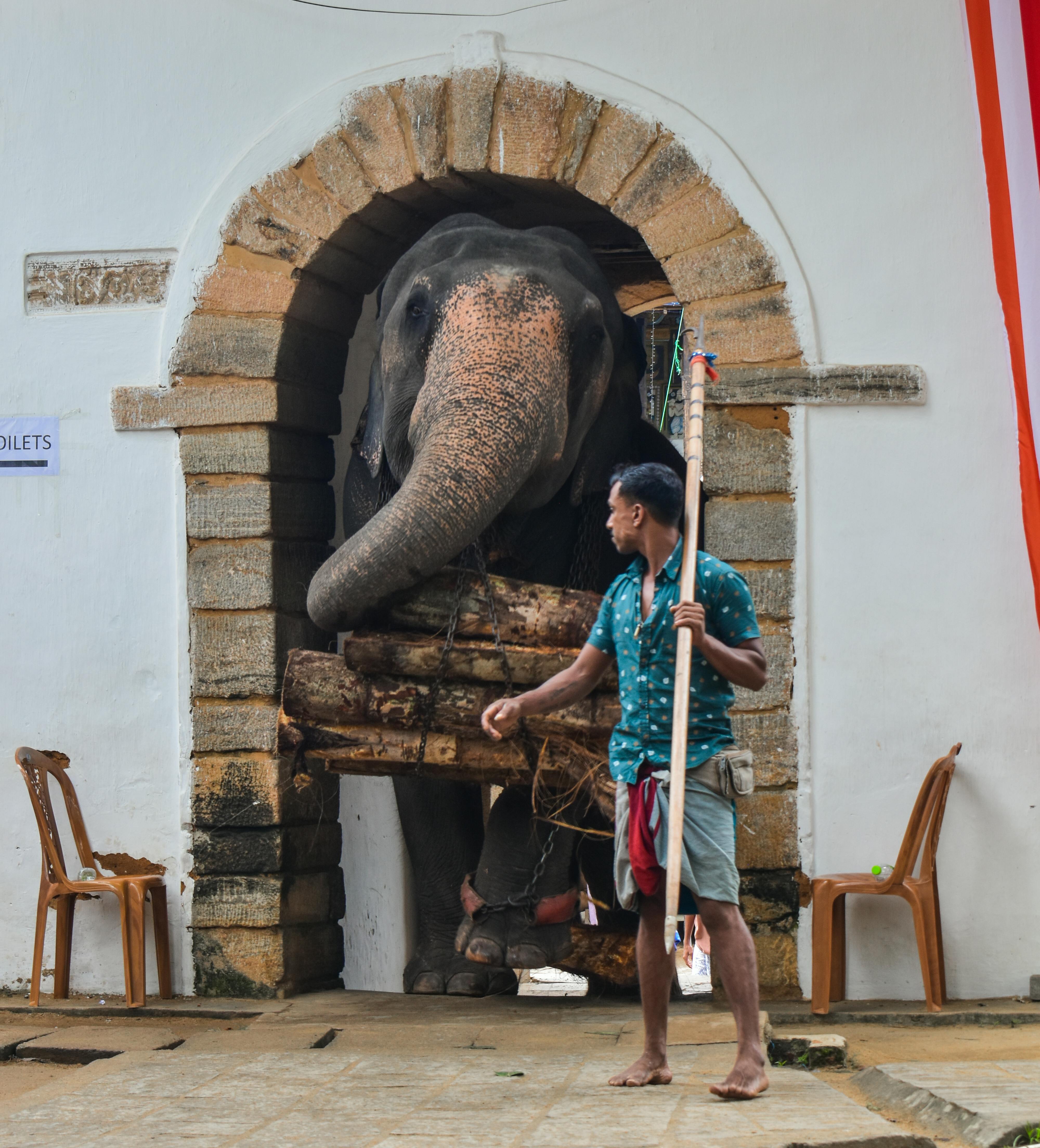 Ancient archway Sri Lanka